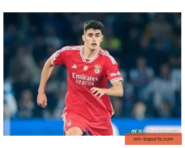 葡萄牙国家队官宣佩佩因肌肉伤势退出本期集训大名单后防临阵受损